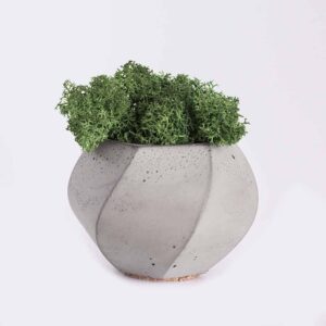 Kuli-narisch Startsetie plant4 free img